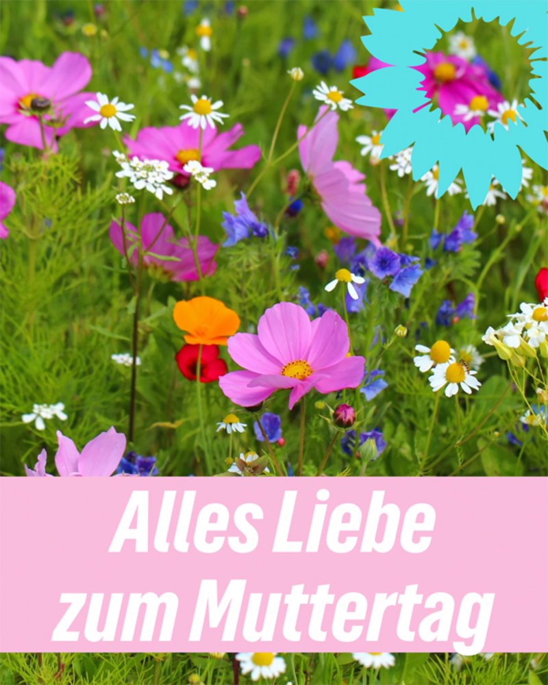 Muttertagbild
